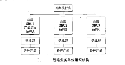 战略业务单位组织结构