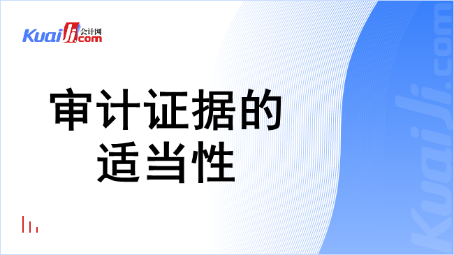 审计证据的适当性