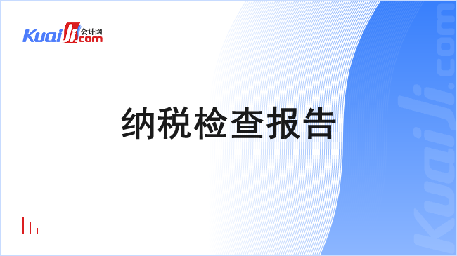 纳税检查报告