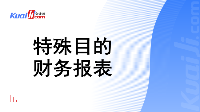 特殊目的财务报表