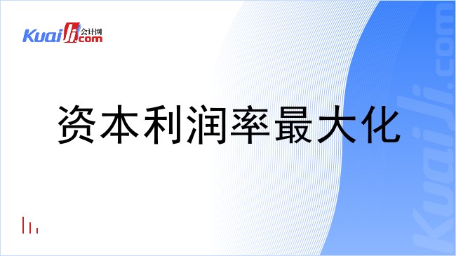 资本利润率最大化