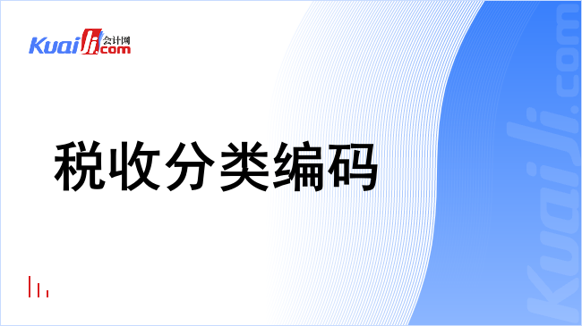 税收分类编码