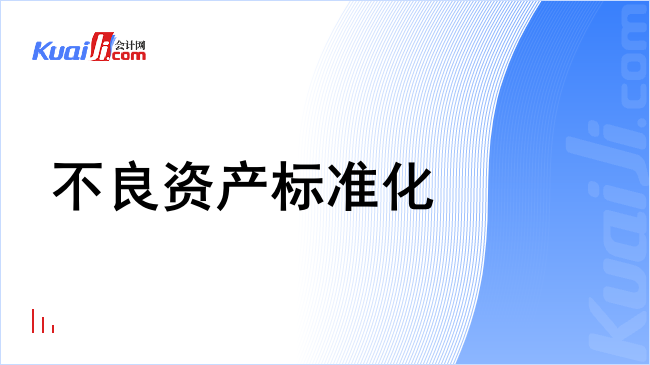 不良资产标准化